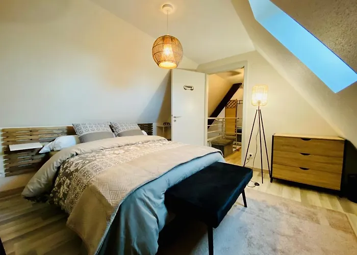L\'Envolee Alsacienne - Magnifique Appartement En Duplex
