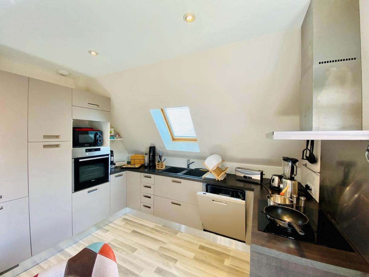 L'envolee Alsacienne - Magnifique En Duplex Ostheim