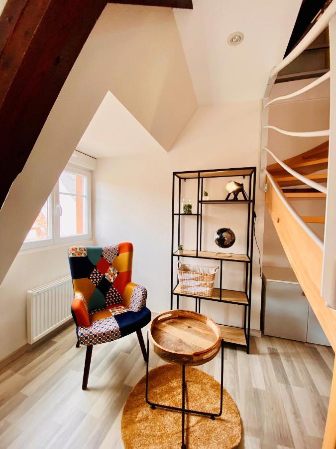 L'envolee Alsacienne - Magnifique En Duplex * Ostheim