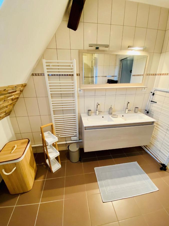 L'envolee Alsacienne - Magnifique En Duplex * Ostheim
